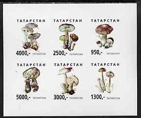 Tatarstan Republic 1998 Mushrooms #1 imperf sheetlet containing complete set of 6 values unmounted mint, stamps on fungi  