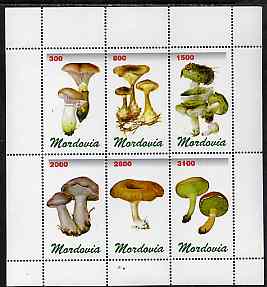 Mordovia Republic 1998 Fungi #1 perf sheetlet containing complete set of 6 values unmounted mint, stamps on fungi