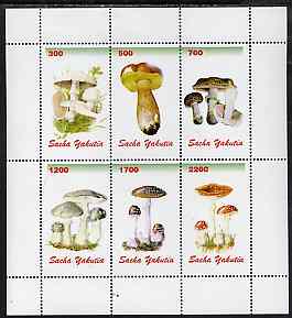 Sakha (Yakutia) Republic 1998 Fungi #1 perf sheetlet containing complete set of 6 values unmounted mint, stamps on fungi