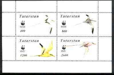 Tatarstan Republic 1998 WWF - Birds perf sheetlet containing complete set of 4 values unmounted mint, stamps on , stamps on  stamps on wwf    birds, stamps on  stamps on  wwf , stamps on  stamps on 