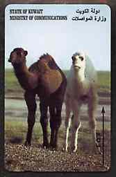 Telephone Card - Kuwait KD3 phone card showing Camels, stamps on animals     camels