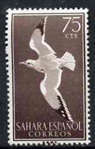 Spanish Sahara 1959 Herring Gull 75c from Bird set, SG 159 unmounted mint, stamps on , stamps on  stamps on birds    gull