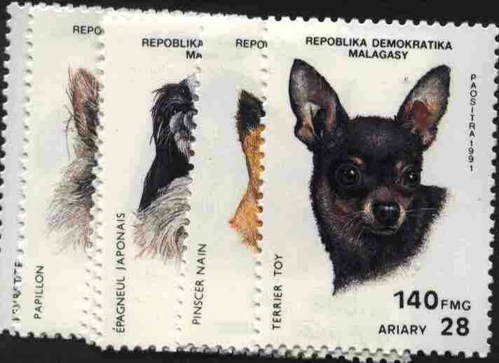 Malagasy Republic 1991 Dogs complete set of 7 unmounted mint, SG 854-60, Mi 1299-1305*, stamps on , stamps on  stamps on dogs     whippet    spaniel    terrier     chow     afghan     papillon    chihuahua