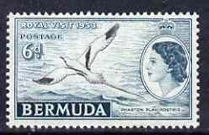 Bermuda 1953 Royal Visit 6d Tropic Bird unmounted mint, SG 151, stamps on , stamps on  stamps on birds, stamps on  stamps on royal visit, stamps on  stamps on royalty