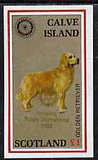Calve Island 1998 Rotary Int opt in gold on 1984 Rotary - Dogs imperf souvenir sheet (£1 value) unmounted mint, stamps on animals  dogs  rotary   retriever