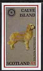 Calve Island 1998 Rotary Int opt in silver on 1984 Rotary - Dogs imperf souvenir sheet (£1 value) unmounted mint, stamps on animals  dogs  rotary   retriever