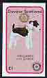 Davaar Island 1998 Rotary Int opt in gold on 1984 Rotary -Dogs (Wirehaired Fox Terrier) imperf souvenir sheet (£1 value) unmounted mint, stamps on animals    dogs    rotary   fox-terrier