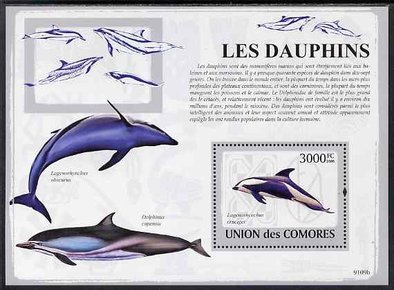 Comoro Islands 2009 Dolphins perf m/sheet unmounted mint, stamps on dolphins.marine life