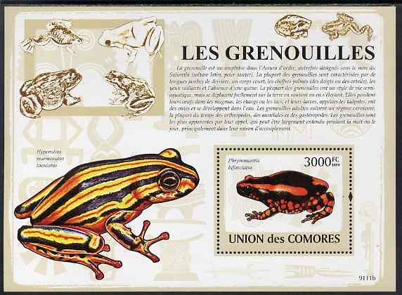Comoro Islands 2009 Frogs perf m/sheet unmounted mint, stamps on , stamps on  stamps on frogs, stamps on  stamps on toads