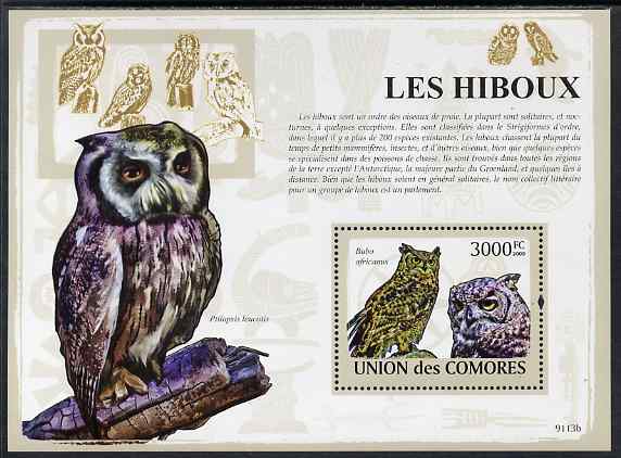 Comoro Islands 2009 Owls perf m/sheet unmounted mint, stamps on , stamps on  stamps on birds, stamps on  stamps on birds of prey, stamps on  stamps on owls