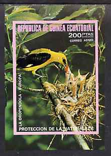 Equatorial Guinea 1976 European Birds imperf m/sheet unmounted mint Mi BL 237, stamps on birds