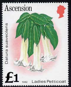Ascension 1981-82 Flowers \A31 Ladies Petticoat def (SG 295B with imprint date) in fine unmounted mint single with wmk inverted, stamps on flowers