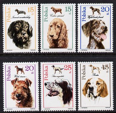 Poland 1989 Hunting Dogs set of 6 (SG 3209-14) unmounted mint, stamps on , stamps on  stamps on animals   dogs  hunting   dachshund   cocker spaniel    pointer   welsh terrier   setter