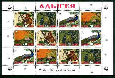 Adigey Republic 1998 WWF - Wild Animals & Birds perf sheetlet containing complete set of 12 (3 sets of 4) unmounted mint, stamps on , stamps on  stamps on wwf     animals   , stamps on  stamps on  wwf , stamps on  stamps on 