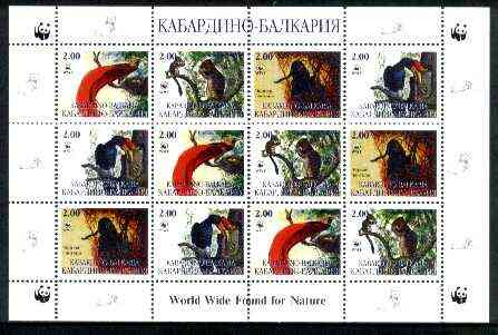 Kabardino-Balkaria Republic 1998 WWF - Wild Animals & Birds perf sheetlet containing complete set of 12 (3 sets of 4) unmounted mint, stamps on , stamps on  stamps on wwf     animals    birds, stamps on  stamps on  wwf , stamps on  stamps on 