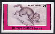 Bernera 1982 Cats (Felis angorensis) imperf souvenir sheet (£1 value) unmounted mint, stamps on animals    cats