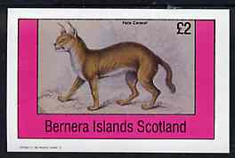 Bernera 1982 Cats (Felis caracal) imperf deluxe sheet (£2 value) unmounted mint, stamps on animals    cats