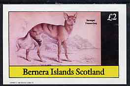 Bernera 1982 Wild Dog (Senegal Thous Dog) imperf deluxe sheet (£2 value) unmounted mint, stamps on animals    dogs