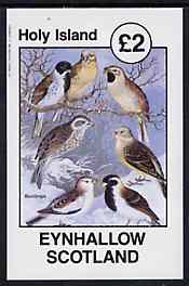 Eynhallow 1982 Buntings imperf deluxe sheet (Â£2 value) unmounted mint, stamps on , stamps on  stamps on birds   buntings