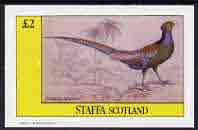 Staffa 1982 Pheasant imperf deluxe sheet (£2 value) unmounted mint, stamps on birds       pheasant     game