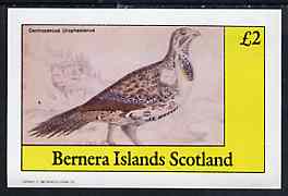 Bernera 1982 Game Birds #3 imperf  deluxe sheet (Â£2 value) unmounted mint, stamps on , stamps on  stamps on birds     game