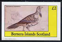 Bernera 1982 Game Birds #3 imperf  deluxe sheet (£2 value) unmounted mint, stamps on birds     game