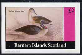 Bernera 1982 Water Birds (Great Throated Diver) imperf  deluxe sheet (£2 value) unmounted mint, stamps on birds     ducks