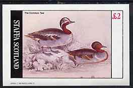 Staffa 1982 Common Teal imperf  deluxe sheet (£2 value) unmounted mint, stamps on birds     teals    ducks