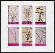 Staffa 1982 Flowers #18 (Amaryllis, Spleenwort,Meadow Beauty, etc) imperf set of 6 values (15p to 75p) unmounted mint, stamps on flowers