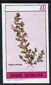 Staffa 1982 Flowers #18 (Wrights Skullcap) imperf souvenir sheet (£1 value) unmounted mint, stamps on flowers