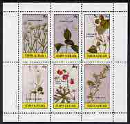 Staffa 1982 Flowers #19 (Nailwort, Collinson's Flower, Blue Bell, etc) perf set of 6 values (15p to 75p) unmounted mint, stamps on , stamps on  stamps on flowers