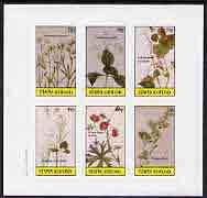 Staffa 1982 Flowers #19 (Nailwort, Collinsons Flower, Blue Bell, etc) imperf set of 6 values (15p to 75p) unmounted mint, stamps on flowers
