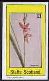 Staffa 1982 Flowers #20 (Grass Pink) imperf souvenir sheet (£1 value) unmounted mint, stamps on flowers