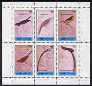 Staffa 1982 Birds #52 (Cuckoo, Bullfinch, Whidah, etc) perf set of 6 values (15p to 75p) unmounted mint, stamps on , stamps on  stamps on birds      