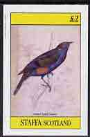 Staffa 1982 Golden Eared Grakle imperf deluxe sheet (Â£2 value) unmounted mint, stamps on birds