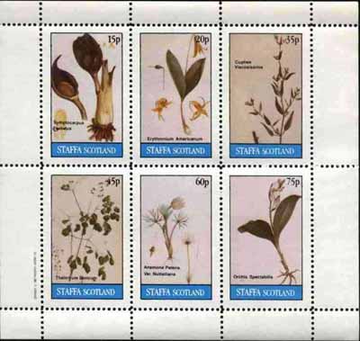 Staffa 1982 Flowers #21 (Cigar Flower, Orchid, Anemone, etc) perf set of 6 values (15p to 75p) unmounted mint, stamps on flowers     tobacco     orchids