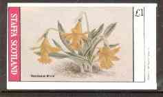 Staffa 1982 Flowers #22 (Narcissus) imperf souvenir sheet (Â£1 value) unmounted mint, stamps on flowers