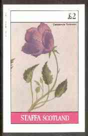 Staffa 1982 Flowers #22 (Campanula) imperf  deluxe sheet (Â£2 value) unmounted mint, stamps on flowers