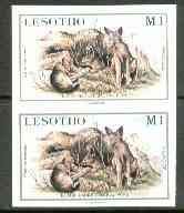 Lesotho 1984 Jackal Pups 1m (from Baby Animals issue) superb unmounted mint imperf pair as SG 615, stamps on , stamps on  stamps on animals, stamps on  stamps on dogs, stamps on  stamps on jackals