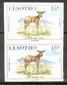 Lesotho 1984 Eland Calf 15s (from Baby Animals issue) superb unmounted mint imperf pair as SG 611, stamps on , stamps on  stamps on animals, stamps on  stamps on eland, stamps on  stamps on bovine