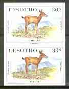 Lesotho 1984 Oribi Calf 30s (from Baby Animals issue) superb unmounted mint imperf pair as SG 613, stamps on animals    oribi