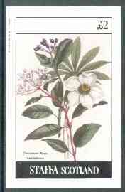 Staffa 1982 Flowers #23 (Christmas Rose) imperf  deluxe sheet (£2 value) unmounted mint, stamps on flowers     roses