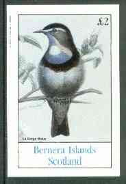 Bernera 1982 Blue Throat imperf deluxe sheet (£2 value) unmounted mint, stamps on birds    