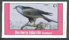 Bernera 1982 Birds #18 (Le Milan) imperf  souvenir sheet (Â£1 value) unmounted mint, stamps on , stamps on  stamps on birds