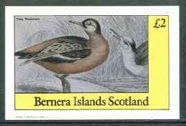 Staffa 1982 Grey Phalarope imperf deluxe sheet (Â£2 value) unmounted mint, stamps on , stamps on  stamps on birds     