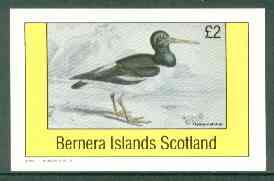 Bernera 1982 Oyster Catcher imperf deluxe sheet (Â£2 value) unmounted mint, stamps on , stamps on  stamps on birds, stamps on  stamps on oyster catcher   