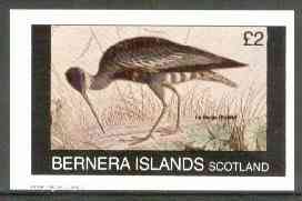 Bernera 1982 Birds #23 (La Caurale) imperf souvenir sheet (£1 value) unmounted mint, stamps on birds   
