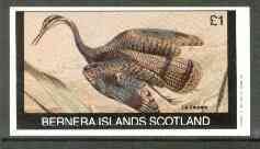 Bernera 1982 Birds #23 (La Barge Rousse) imperf deluxe sheet (£2 value) unmounted mint, stamps on birds   