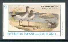 Bernera 1982 Birds #39 (Tattler & Sandpiper with shells) imperf souvenir sheet (£1 value) unmounted mint, stamps on birds     shells