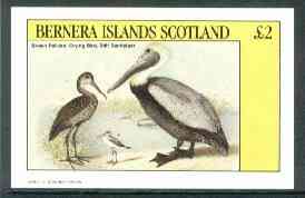 Bernera 1982 Birds #40 (Pelican & Sandpiper) imperf deluxe sheet (£2 value) unmounted mint, stamps on birds   